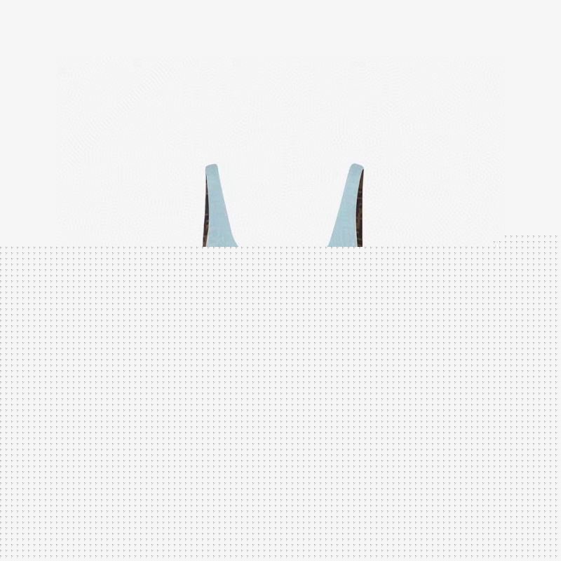 OTHER BRAND